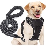 Dog Harness Manufacturer - 2022 Hot Sale Adjustable Nylon Reflective Soft Colorful