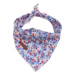 Dog Collar Set Factory - 2022 Luxury Fashion Nylon Adjustable Personalized Print