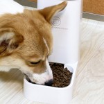 Pet Food Dispenser Manufacturer - 2022 Selling Best Automatic Water Feeder