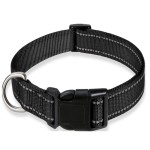 Pet Collars Supplier - Adjustable Nylon Classic Solid Colors Reflective Personalized
