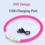 Pet Safety Collar Factory - Factory Direct USB Rechargeable LED Light up Night