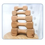 Dog Chew Toy Manufacturer - Hot Sale Luxury Natural Wood Safe Healthy for Pups