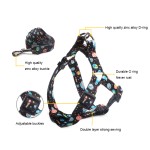 Pet Harness Set Manufacturer - Customized Nylon Adjustable Breathable Soft Padding