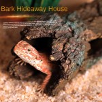 Reptile Habitat Supplier - Natural Tree Wood Climbing Cork Bark Terrarium Lizards