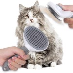 Pet Grooming Brush Factory - High Quality TPR Steel Hair Remover Comb Eco-Friendly