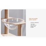 Tall Cat Tree Factory - Hot Sale Floor to Ceiling Hammock Bed Climbing Posts