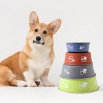 Stainless Steel Dog Bowl Manufacturer - High Quality Eco-Friendly Anti-Skid Wholesale