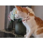 Dog Collar Set Factory - 2022 Luxury Fashion Nylon Adjustable Personalized Print