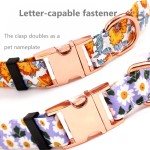 Dog Collar Set Factory - 2022 Luxury Fashion Nylon Adjustable Personalized Print