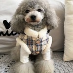 Pet Clothes Supplier - New Arrival Luxury Small Medium Winter Coat Fashion Print