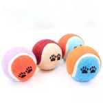 Pet Tennis Ball Supplier - High Quality Eco-Friendly Luxury Rubber Training