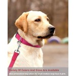 Pet Collars Supplier - Adjustable Nylon Classic Solid Colors Reflective Personalized