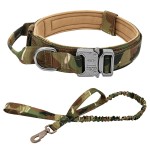 Adjustable Dog Collar Supplier - High Quality Nylon Reflective Personalized Print