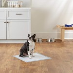 Pet Pad Supplier - Hot Selling Super Absorbent Soft Leak-Free Diapers Nappies