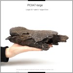 Reptile Habitat Supplier - Natural Tree Wood Climbing Cork Bark Terrarium Lizards