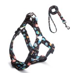 Pet Harness Set Manufacturer - Customized Nylon Adjustable Breathable Soft Padding
