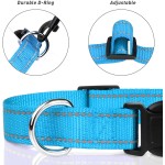 Pet Collars Supplier - Adjustable Nylon Classic Solid Colors Reflective Personalized