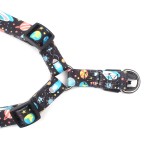 Pet Harness Set Manufacturer - Customized Nylon Adjustable Breathable Soft Padding