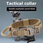 Adjustable Dog Collar Supplier - High Quality Nylon Reflective Personalized Print