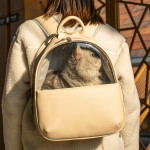 Pet Carrier Backpack Supplier - New Arrival Luxury Soft Leather Outdoor Walking