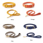 Pet Training Set Supplier - Luxury Dog Collar Leash Set Hot Sale Personalized