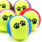 Pet Tennis Ball Supplier - High Quality Eco-Friendly Luxury Rubber Training
