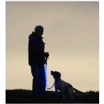 LED Dog Collar Manufacturer - 2022 Top Seller USB Charging Nylon Striped Pattern