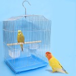 Bird Cage Supplier - Portable Pink Canary Elegant Small Classic Style Pet Cage