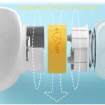 Pet Water Bottle Factory - New Design Plastic Food Bowl Eco-Friendly Candy Color