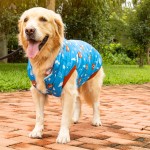 Dog Winter Clothes Factory - Modern Design Large Warm Windproof Thickened Printed