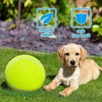 Pet Tennis Ball Supplier - High Quality Eco-Friendly Luxury Rubber Training
