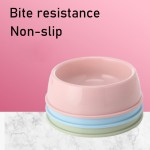 Plastic Pet Feeder Bowl Factory - Color-Option Eco-Friendly Cat Dog Bowl Candy