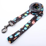 Dog Leash Collar Set Supplier - Hot Selling Luxury Soft Modern Nylon Personalized