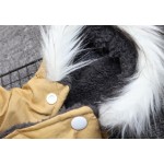 Pet Coat Jacket Manufacturer - High Quality Modern Winter Warm Cotton Dot Pattern