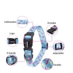 Pet Collar Set Factory - New Custom Adjustable Reflective Nylon Traction Rope