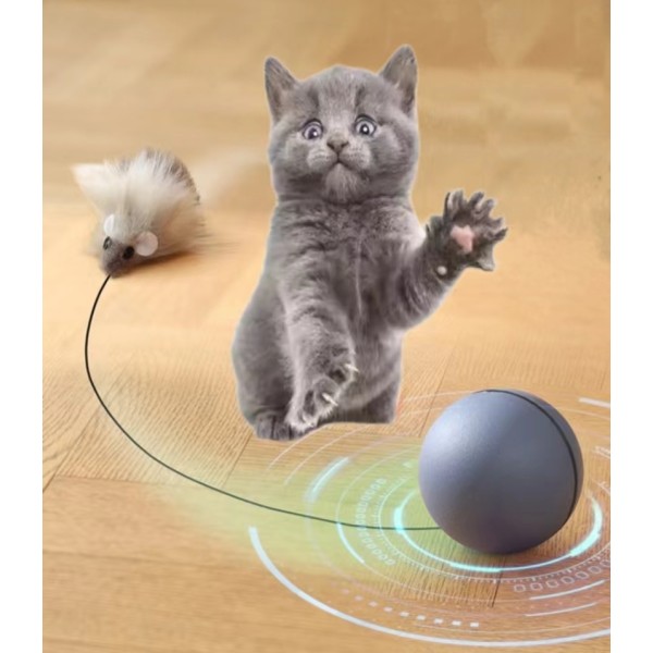 Cat Toy Ball Factory - New Teaser Mouse Self-hilarious Rolling Ball Automatic for Cat