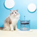 Automatic Pet Fountain Factory - Newest Best Selling Activated Carbon Filter for Cats
