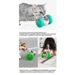 Interactive Dog Toy Factory - Factory Wholesale Leaking Food Feeder Shake Tumbler IQ