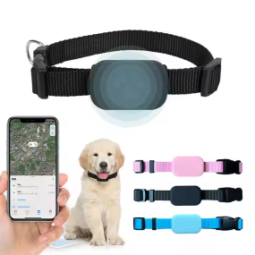 AirTag宠物项圈供应商-查找我的智能追踪定位狗猫GPS追踪器苹果