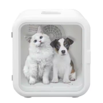 Automatic Pet Dryer Manufacturer - Large 62L Intelligent Control Bathing Blow Dryer