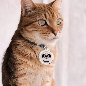 宠物追踪项圈生产厂家-全球智能GPS追踪器无线查找防丢项圈