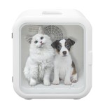 Pet Grooming Kit Supplier - Automatic 62L Large Size Smart Machine Drying Box
