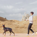 Dog Leash Supplier - Wholesale 5m Durable Automatic Retractable Nylon Extension