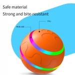 Remote Control Pet Ball Supplier - Smart Toy Ball with Remote Motion Activated Led Light