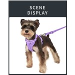 Pet Dog Harness Supplier - Manufacturers Wholesale Custom Logo Adjustable No Pull