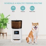 Smart Cat Feeder Factory - Pet 6L Wifi Mobile App Remote Control Microchip