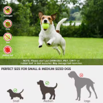 Tennis Ball Launcher Supplier - Automatic Indoor Outdoor Small Dog Toy Sustainable