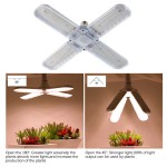 Foldable Grow Light Supplier - 48W E27 Succulent Flower Vegetable