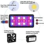 LED Grow Light Supplier - Timing 1200W 2400W Full Spectrum