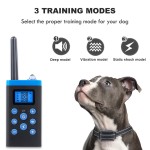 Remote Control Dog Collar Supplier - 1000M WaterProof Vibration Shock